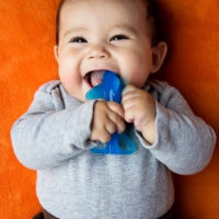 BABY-BANANA-SZCZOTECZKA-REKIN.2.png