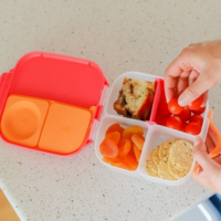 Mini-lunchbox-Passion-Splash-bbox.png