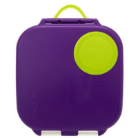 Mini-lunchbox-Passion-Splash-bbox.png